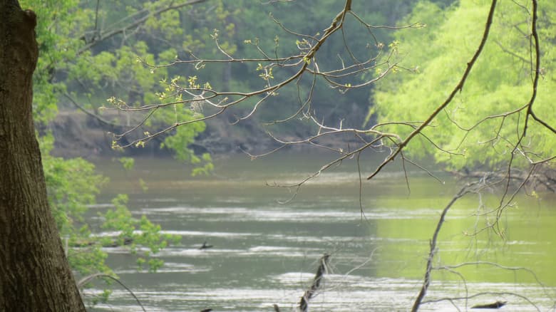 Kinston, North Carolina